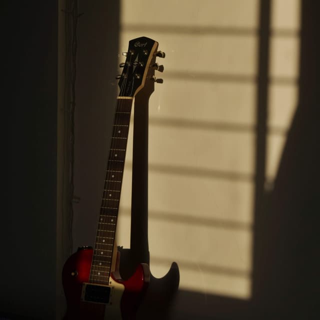 Guitar